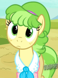 Size: 318x424 | Tagged: safe, screencap, character:chickadee, character:ms. peachbottom, episode:games ponies play, g4, my little pony: friendship is magic, cute