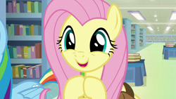 Size: 1280x720 | Tagged: safe, screencap, character:fluttershy, character:rainbow dash, species:pony, episode:daring doubt, g4, my little pony: friendship is magic, cute, shyabetes