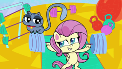 Size: 1920x1080 | Tagged: safe, screencap, character:fluttershy, species:pegasus, species:pony, episode:cute-pocalypse meow, g4.5, my little pony:pony life, spoiler:pony life s01e03, barbell, bipedal, bubbles (cat), cat, kettlebell, weight lifting