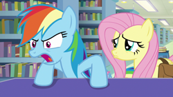 Size: 1920x1080 | Tagged: safe, screencap, character:fluttershy, character:rainbow dash, episode:daring doubt, g4, my little pony: friendship is magic