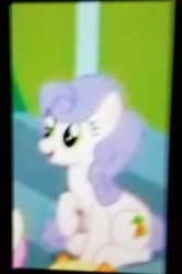 Size: 1281x1932 | Tagged: safe, screencap, species:earth pony, species:pony, episode:the washouts, g4, my little pony: friendship is magic, background pony, cropped, female, mare, offscreen character, smiling, solo focus, unnamed character, unnamed pony