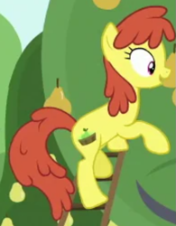 Size: 499x640 | Tagged: safe, screencap, species:earth pony, species:pony, episode:the perfect pear, g4, my little pony: friendship is magic, background pony, cropped, female, mare, prickly pear (character), solo