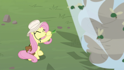 Size: 1920x1080 | Tagged: safe, screencap, character:fluttershy, episode:daring doubt, g4, my little pony: friendship is magic, fly, fly-der, hybrid, spider