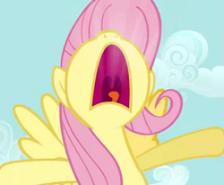 Size: 785x648 | Tagged: safe, screencap, character:fluttershy, species:pegasus, species:pony, cropped, episode needed, nose in the air, solo, uvula, yelling