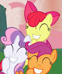 Size: 561x670 | Tagged: safe, screencap, character:apple bloom, character:scootaloo, character:sweetie belle, species:pegasus, species:pony, episode:hearts and hooves day, g4, my little pony: friendship is magic, adorabloom, cropped, cute, cutealoo, cutie mark crusaders, diasweetes