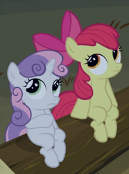 Size: 542x727 | Tagged: safe, screencap, character:apple bloom, character:sweetie belle, episode:sleepless in ponyville, g4, my little pony: friendship is magic, cropped, duo, log, sitting