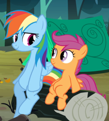 Size: 658x732 | Tagged: safe, screencap, character:rainbow dash, character:scootaloo, species:pegasus, species:pony, episode:sleepless in ponyville, g4, my little pony: friendship is magic, cropped, duo, log, looking at each other, sitting, smiling