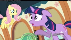 Size: 1920x1080 | Tagged: safe, screencap, character:fluttershy, character:twilight sparkle, episode:games ponies play, g4, my little pony: friendship is magic, youtube caption