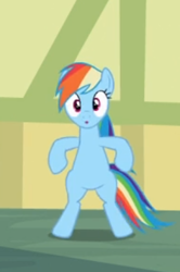 Size: 250x377 | Tagged: safe, screencap, character:rainbow dash, species:pegasus, species:pony, episode:the mysterious mare do well, g4, my little pony: friendship is magic, bipedal, cropped, looking at you, solo, wide eyes