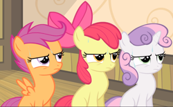 Size: 1396x868 | Tagged: safe, screencap, character:apple bloom, character:scootaloo, character:sweetie belle, species:pegasus, species:pony, episode:somepony to watch over me, g4, my little pony: friendship is magic, cropped, cutie mark crusaders, puffed chest, sitting, sweat, tough, trio