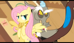 Size: 1024x600 | Tagged: safe, screencap, character:discord, character:fluttershy, species:draconequus, species:pegasus, species:pony, episode:keep calm and flutter on, g4, my little pony: friendship is magic, annoyed, evil grin, fluttershy is not amused, fluttershy's cottage, grin, hug, looking at each other, smiling, unamused