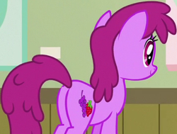 Size: 355x269 | Tagged: safe, screencap, character:berry punch, character:berryshine, species:earth pony, species:pony, episode:a flurry of emotions, g4, my little pony: friendship is magic, butt, cropped, female, mare, plot, solo