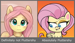 Size: 1289x737 | Tagged: safe, ai model:thisponydoesnotexist, screencap, character:fluttershy, g4.5, my little pony:pony life, lip bite, neural network, op is a duck
