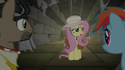 Size: 1920x1080 | Tagged: safe, screencap, character:doctor caballeron, character:fluttershy, character:rainbow dash, episode:daring doubt, g4, my little pony: friendship is magic