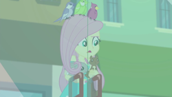 Size: 1920x1080 | Tagged: safe, screencap, character:fluttershy, species:bird, species:rabbit, episode:tip toppings, g4, my little pony:equestria girls, animal, solo, squirrel