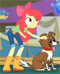 Size: 927x1136 | Tagged: safe, screencap, character:apple bloom, character:winona, episode:best in show: the victory lap, g4, my little pony:equestria girls, adorabloom, apple bloom's bow, belt, boots, bow, clothing, collar, cute, duo, hair bow, jeans, leash, looking at something, pants, shirt, shoes, smiling, tongue out, winonabetes