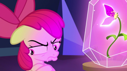 Size: 1920x1080 | Tagged: safe, screencap, character:apple bloom, episode:growing up is hard to do, g4, my little pony: friendship is magic, flower, pouting, wishing flower