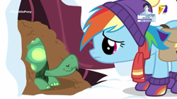 Size: 540x303 | Tagged: safe, screencap, character:rainbow dash, character:tank, species:pegasus, species:pony, episode:tanks for the memories, g4, my little pony: friendship is magic, azteca 7, clothing, earmuffs, female, male, mare, snow, tortoise, tv azteca, winter, winter outfit