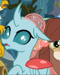 Size: 611x772 | Tagged: safe, screencap, character:ocellus, character:yona, species:changedling, episode:school daze, g4, my little pony: friendship is magic, cropped, looking at you, looking back, looking back at you, offscreen character, solo focus