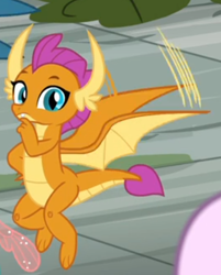Size: 346x431 | Tagged: safe, screencap, character:ocellus, character:silverstream, character:smolder, species:changedling, species:dragon, episode:school daze, g4, my little pony: friendship is magic, cropped, dragoness, female, flying, looking at you, offscreen character, solo, solo focus, wings