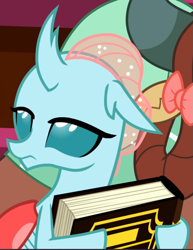 Size: 725x939 | Tagged: safe, screencap, character:ocellus, character:yona, species:changedling, episode:a matter of principals, g4, my little pony: friendship is magic, book, cropped, lidded eyes, solo