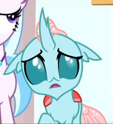 Size: 511x557 | Tagged: safe, screencap, character:ocellus, character:silverstream, species:changedling, episode:a matter of principals, g4, my little pony: friendship is magic, confused, cropped, open mouth, solo