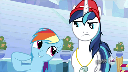 Size: 423x238 | Tagged: safe, screencap, character:rainbow dash, character:shining armor, episode:games ponies play, g4, my little pony: friendship is magic, animated, floppy ears, frown, out of context, shining armor is not amused, smiling, unamused, wat, whistle