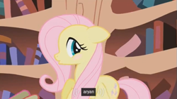 Size: 637x358 | Tagged: safe, screencap, character:fluttershy, aryan, youtube caption