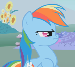 Size: 787x703 | Tagged: safe, screencap, character:rainbow dash, species:pegasus, species:pony, episode:dragonshy, g4, my little pony: friendship is magic, angry, cropped, female, mare, solo