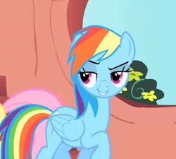 Size: 526x474 | Tagged: safe, screencap, character:fluttershy, character:rainbow dash, species:pegasus, species:pony, episode:sonic rainboom, g4, my little pony: friendship is magic, grin, lidded eyes, raised eyebrow, raised hoof, smiling, solo focus