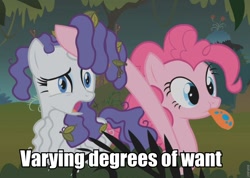Size: 960x684 | Tagged: safe, screencap, character:pinkie pie, character:rarity, episode:bridle gossip, g4, my little pony: friendship is magic, hairity, image macro, spitty pie, varying degrees of want, want