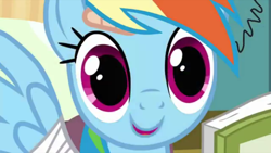 Size: 1436x811 | Tagged: safe, screencap, character:rainbow dash, episode:read it and weep, g4, my little pony: friendship is magic, book, bust, looking at you, solo