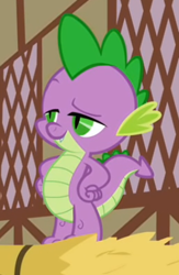 Size: 273x418 | Tagged: safe, screencap, character:spike, species:dragon, episode:the cutie pox, g4, my little pony: friendship is magic, cropped, hand on hip, lidded eyes, male, raised eyebrow, smug, solo