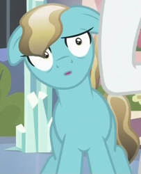 Size: 552x681 | Tagged: safe, screencap, character:bright smile, character:rarity, species:crystal pony, species:pony, episode:the crystal empire, g4, my little pony: friendship is magic, bewildered, crystal empire, dafuq, face, floppy ears, image macro, reaction image, suspicious, wat