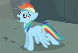Size: 924x640 | Tagged: safe, screencap, character:rainbow dash, species:pegasus, species:pony, episode:may the best pet win, g4, my little pony: friendship is magic, mid-blink screencap, solo, stretching
