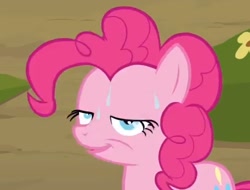 Size: 500x380 | Tagged: safe, screencap, character:pinkie pie, out of context, sweat