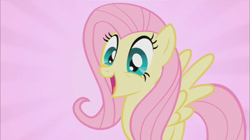 Size: 855x480 | Tagged: safe, screencap, character:fluttershy, species:pegasus, species:pony, episode:may the best pet win, g4, my little pony: friendship is magic, cute, female, smiling, solo
