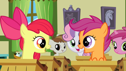 Size: 1280x720 | Tagged: safe, screencap, character:apple bloom, character:featherweight, character:ruby pinch, character:scootaloo, character:sweetie belle, species:pegasus, species:pony, episode:ponyville confidential, g4, my little pony: friendship is magic, cutie mark crusaders, desk, happy, ponyville schoolhouse, school, soon
