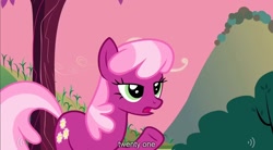 Size: 1280x704 | Tagged: safe, screencap, character:cheerilee, episode:hearts and hooves day, g4, my little pony: friendship is magic, youtube caption