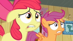 Size: 1280x720 | Tagged: safe, screencap, character:apple bloom, character:scootaloo, species:earth pony, species:pegasus, species:pony, episode:hearts and hooves day, g4, my little pony: friendship is magic, female, filly, lip bite, reaction image