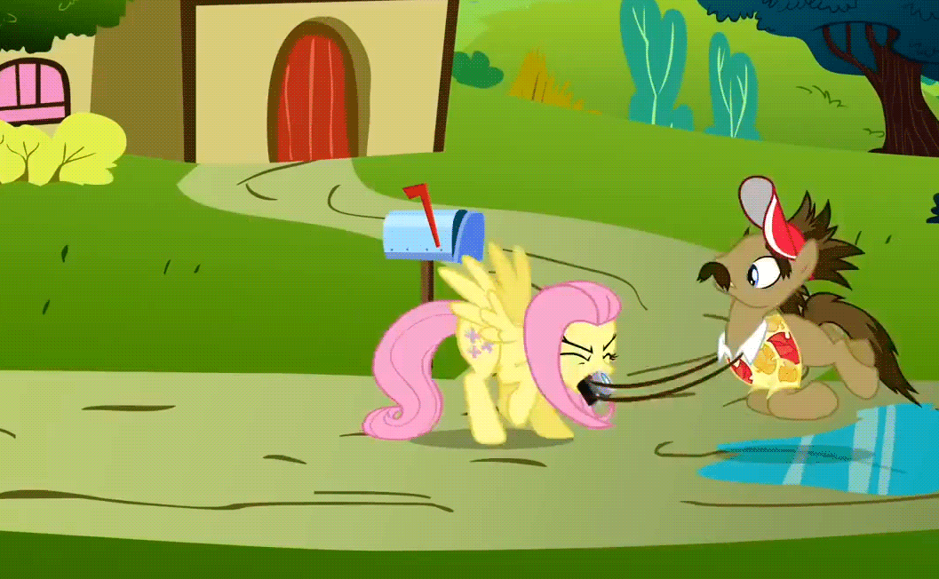 Size: 1057x652 | Tagged: safe, screencap, character:fluttershy, species:earth pony, species:pegasus, species:pony, episode:putting your hoof down, g4, my little pony: friendship is magic, animated, female, globe trotter, good trick, male, mare, spinning, stallion