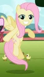 Size: 455x802 | Tagged: safe, screencap, character:fluttershy, episode:may the best pet win, g4, my little pony: friendship is magic, cropped, duckling, faec, find a pet, smiling, solo