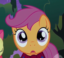 Size: 443x401 | Tagged: safe, screencap, character:apple bloom, character:scootaloo, species:pegasus, species:pony, episode:stare master, g4, my little pony: friendship is magic, cropped, female, filly, foal, solo focus