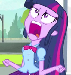 Size: 716x758 | Tagged: safe, screencap, character:twilight sparkle, equestria girls:equestria girls, g4, my little pony:equestria girls, exploitable meme, face, female, solo, twiscream