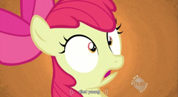 Size: 853x464 | Tagged: safe, screencap, character:apple bloom, episode:family appreciation day, g4, my little pony: friendship is magic, youtube caption