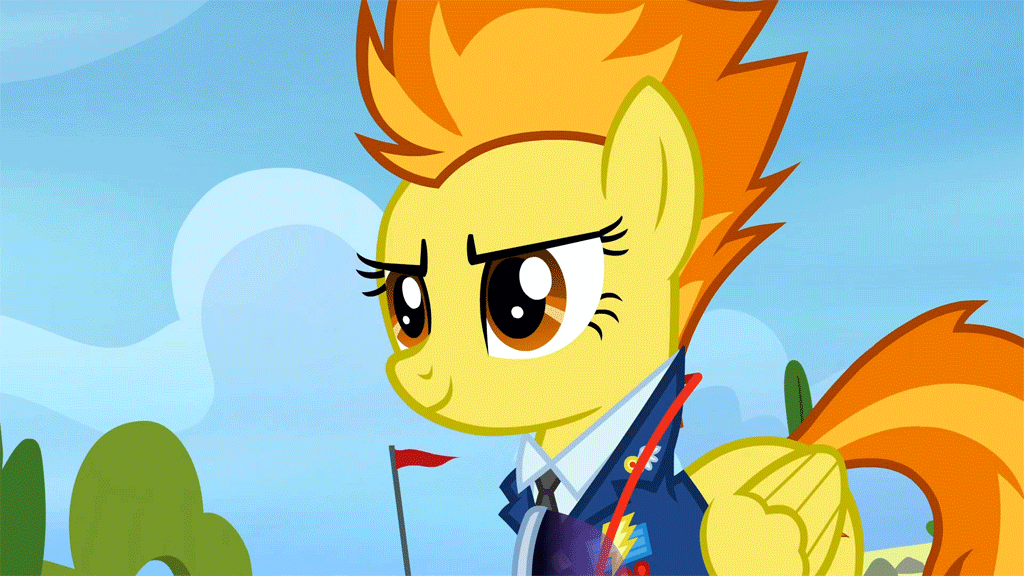 Size: 1024x576 | Tagged: safe, screencap, character:spitfire, species:pegasus, species:pony, episode:wonderbolts academy, animated, clothing, drill sergeant, female, gif, mare, proud, shirt, solo, sunglasses