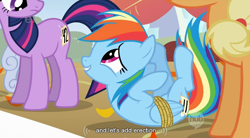 Size: 852x470 | Tagged: safe, screencap, character:applejack, character:rainbow dash, character:twilight sparkle, youtube caption