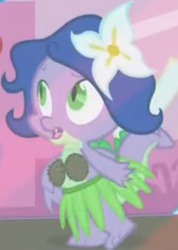Size: 384x540 | Tagged: safe, screencap, character:spike, episode:the ticket master, g4, my little pony: friendship is magic, clothing, coconut, coconut bikini, crossdressing, flower, grass skirt, hula, outfit catalog, solo, wig