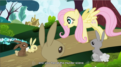 Size: 854x475 | Tagged: safe, screencap, character:fluttershy, youtube caption