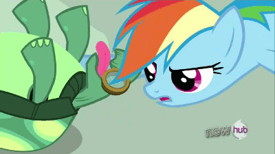 Size: 400x225 | Tagged: safe, screencap, character:rainbow dash, character:tank, episode:just for sidekicks, g4, my little pony: friendship is magic, affection, animated, hub logo, kissing, licking